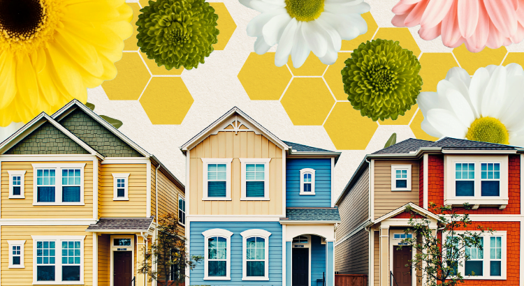 Colorful houses with flowers